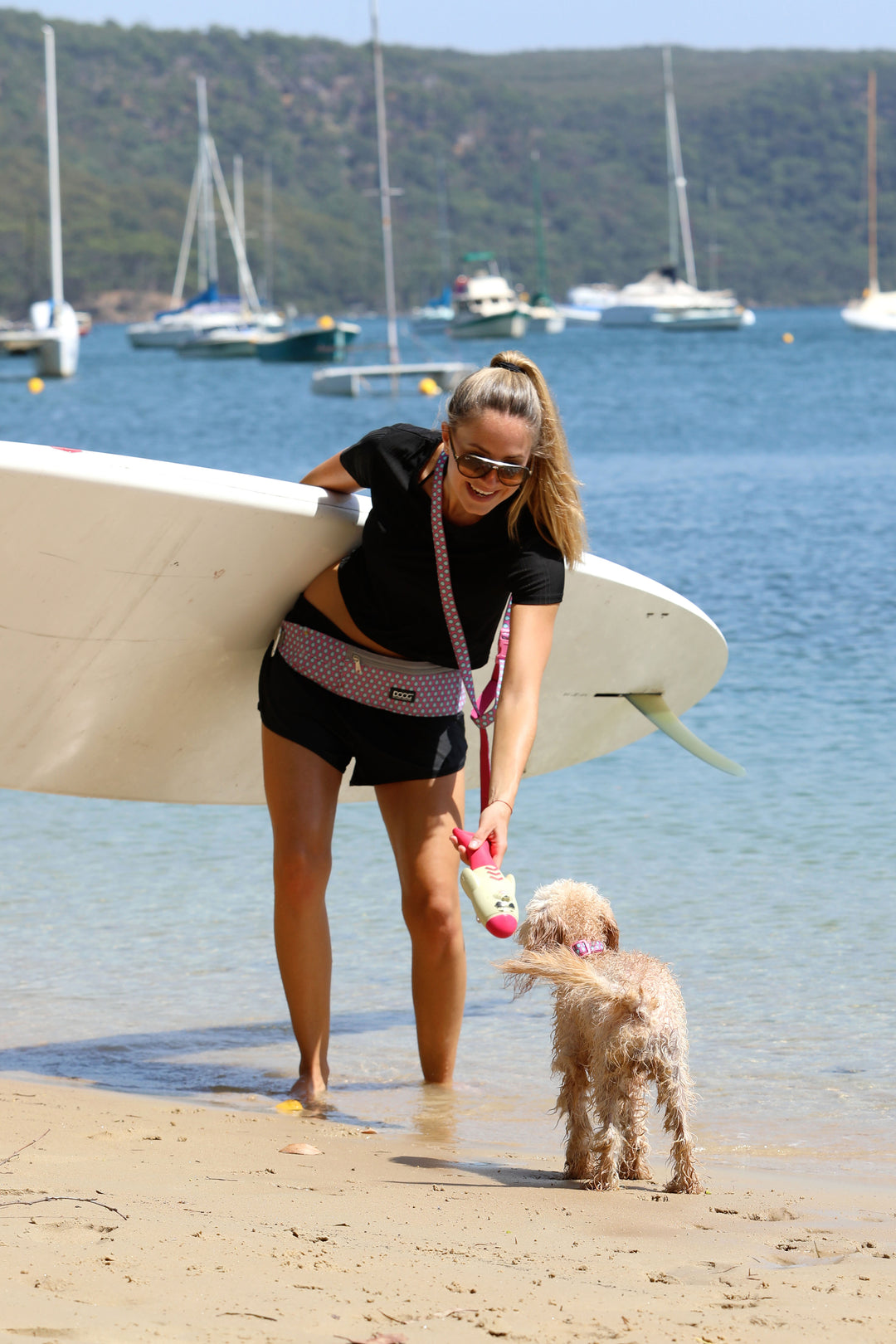 Incorporating your dog into your exercise routine