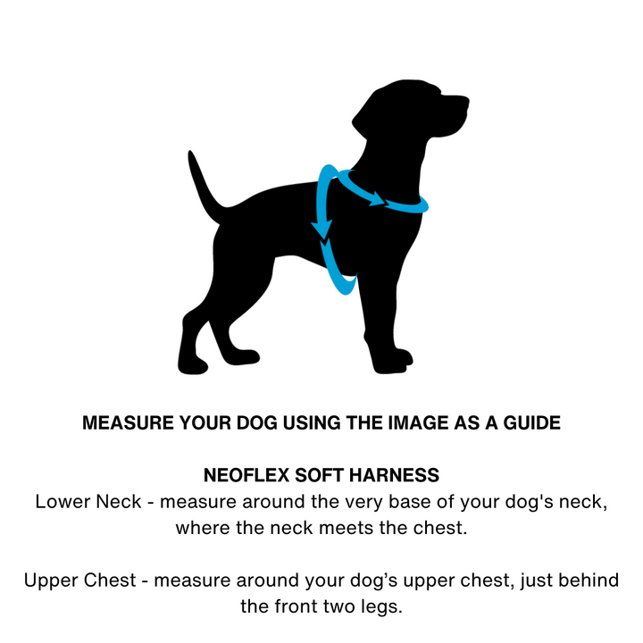 Neoflex Soft Harness - (Neon High Vis) Beethoven