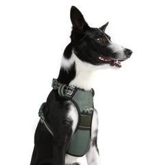 Neotech Harness - GREEN