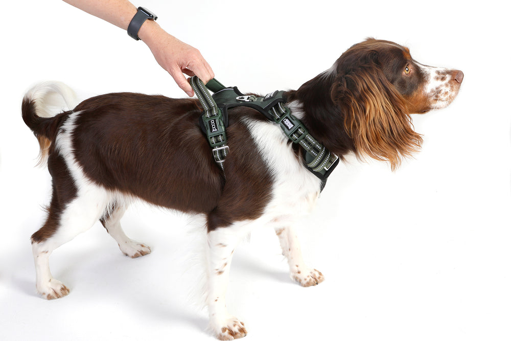 Neotech Harness - GREEN