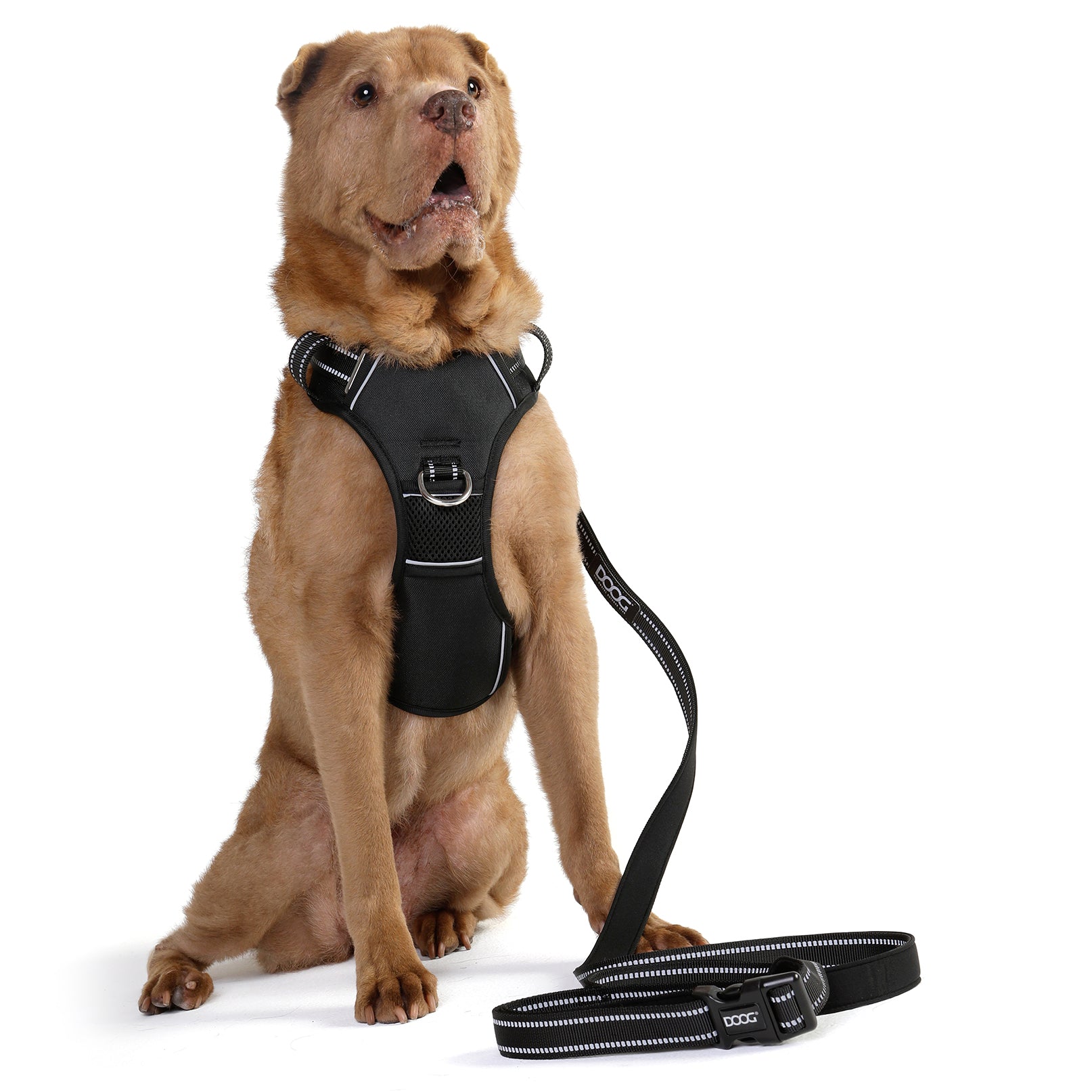 Neotech Harness - BLACK