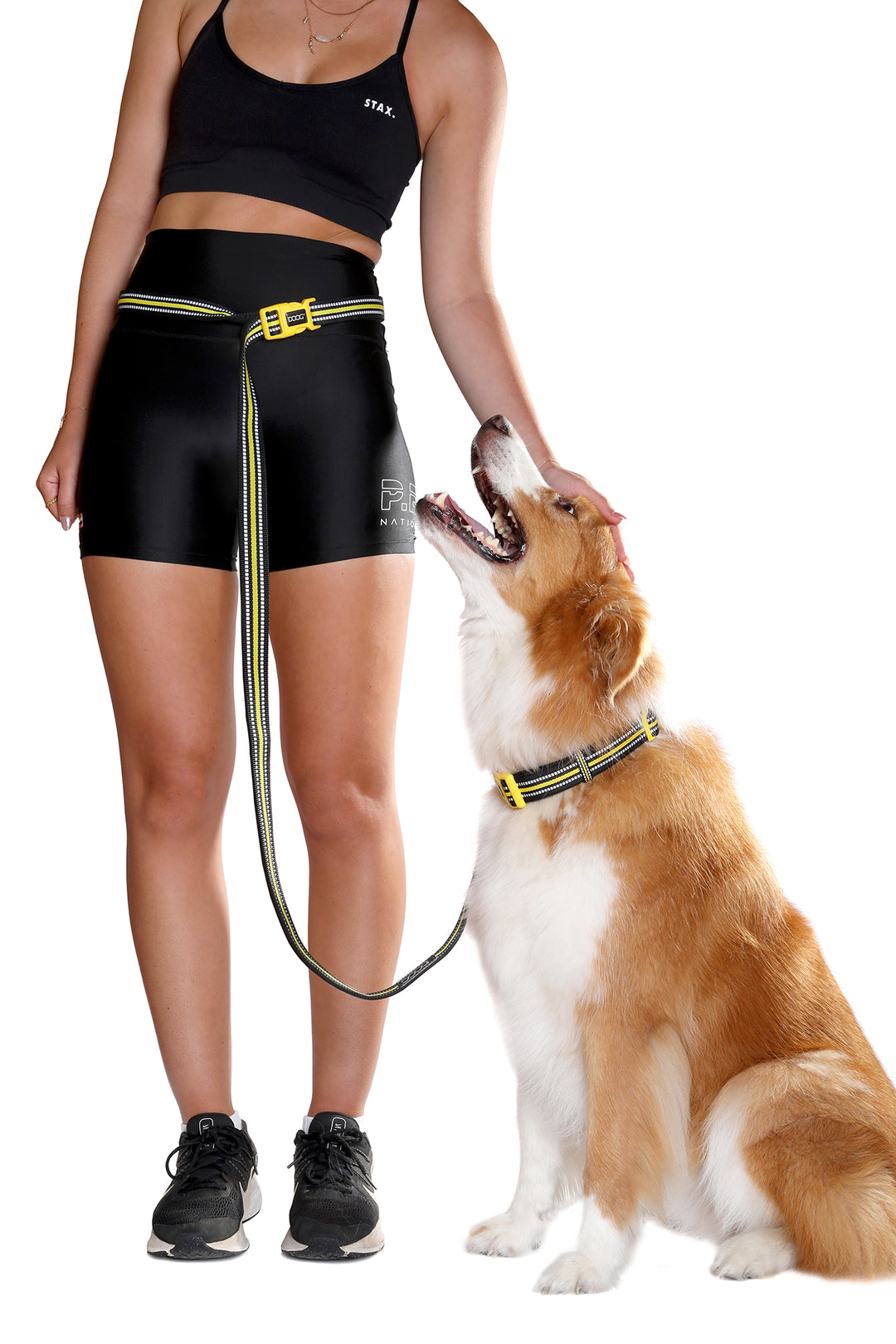 'Clip It' Neoprene Dog Lead - (Neon High Vis) Bolt