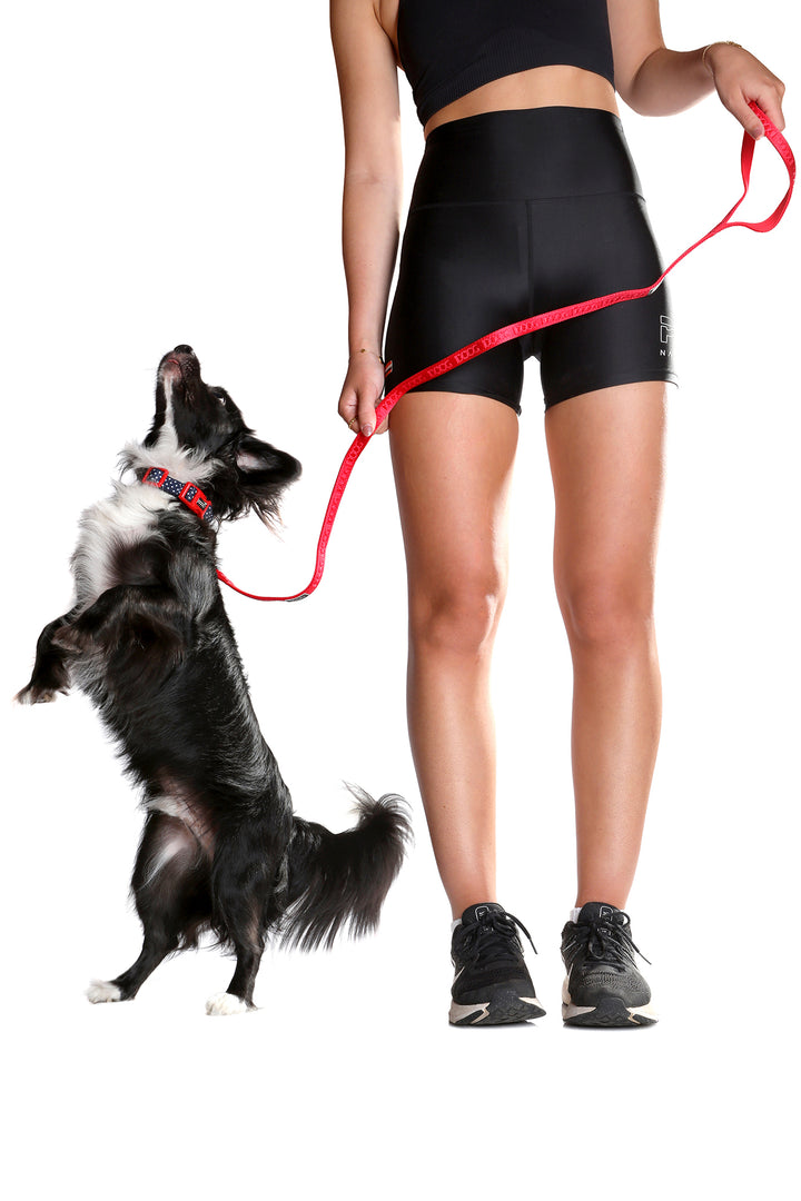 Neosport Neoprene Dog Lead - Red