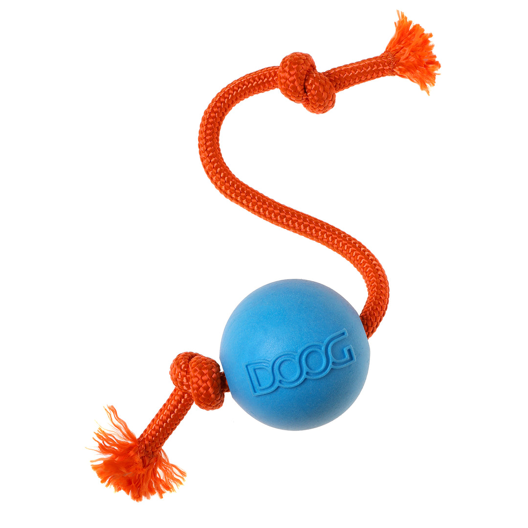 The Fetchables - Fetch & Tug ball  (Blue)