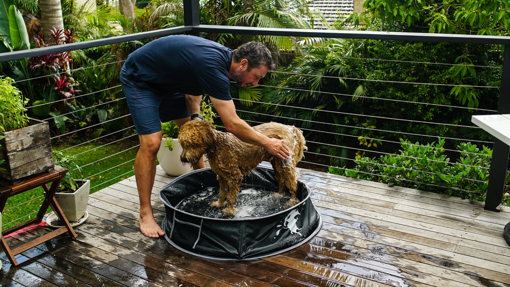 Pop-Up Dog Pool and Bath