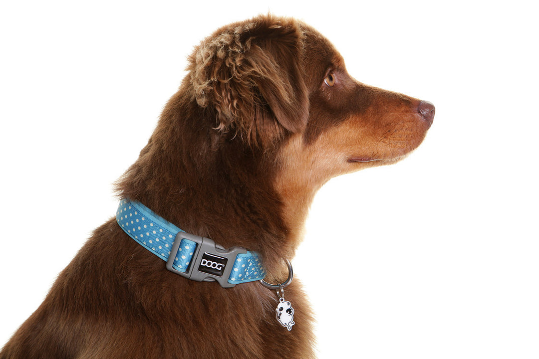 Neoprene Dog Collar - Snoopy