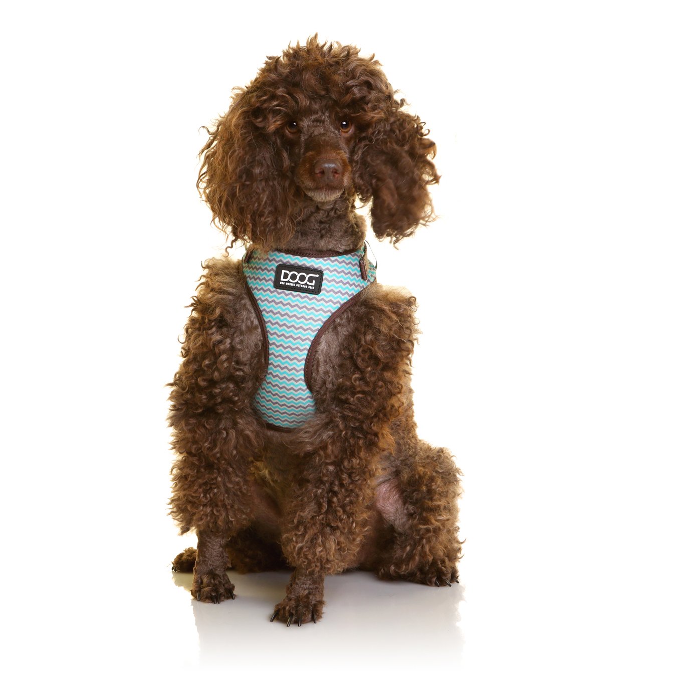 Neoflex Soft Harness - Benji