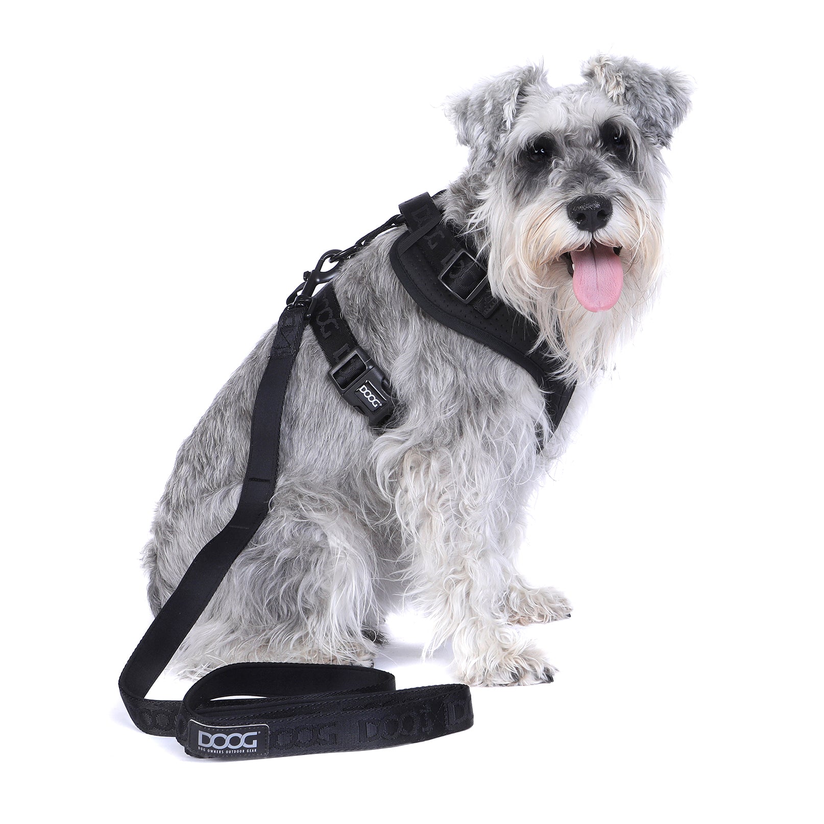 Expawlorer dog harness best sale