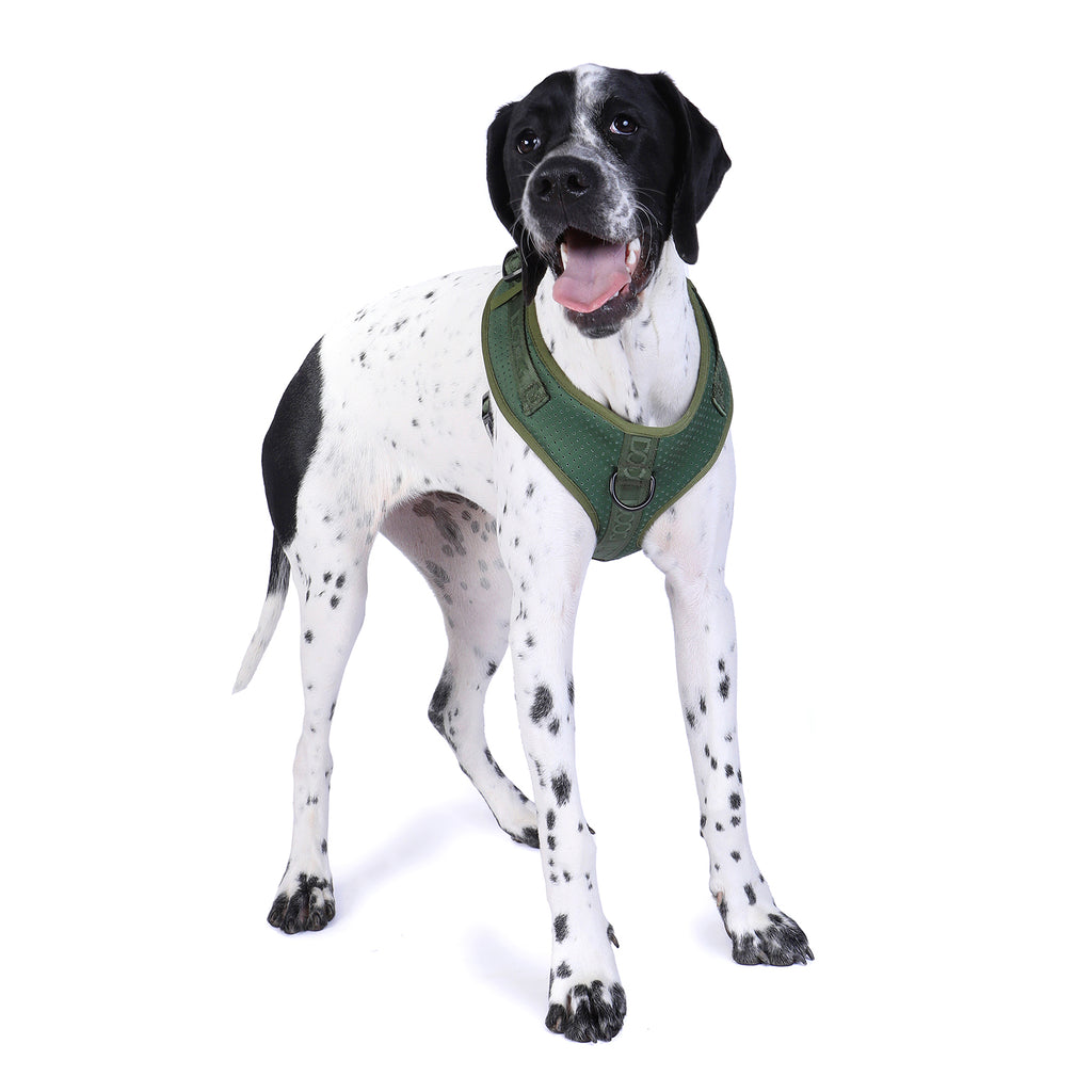 Service dog clearance harness petco