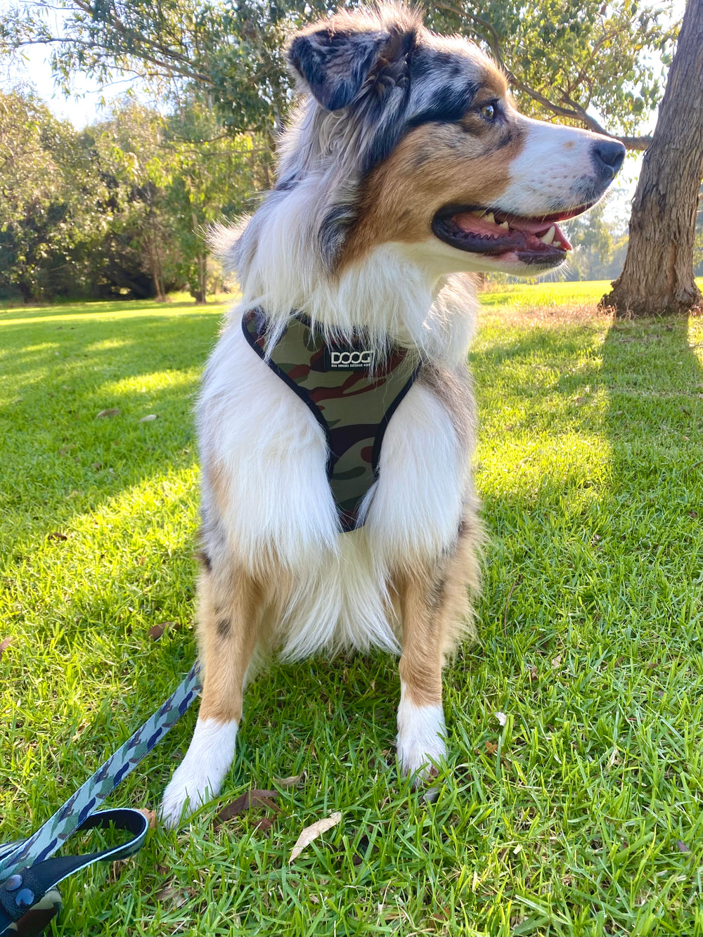 Neoflex Soft Harness - Bruiser