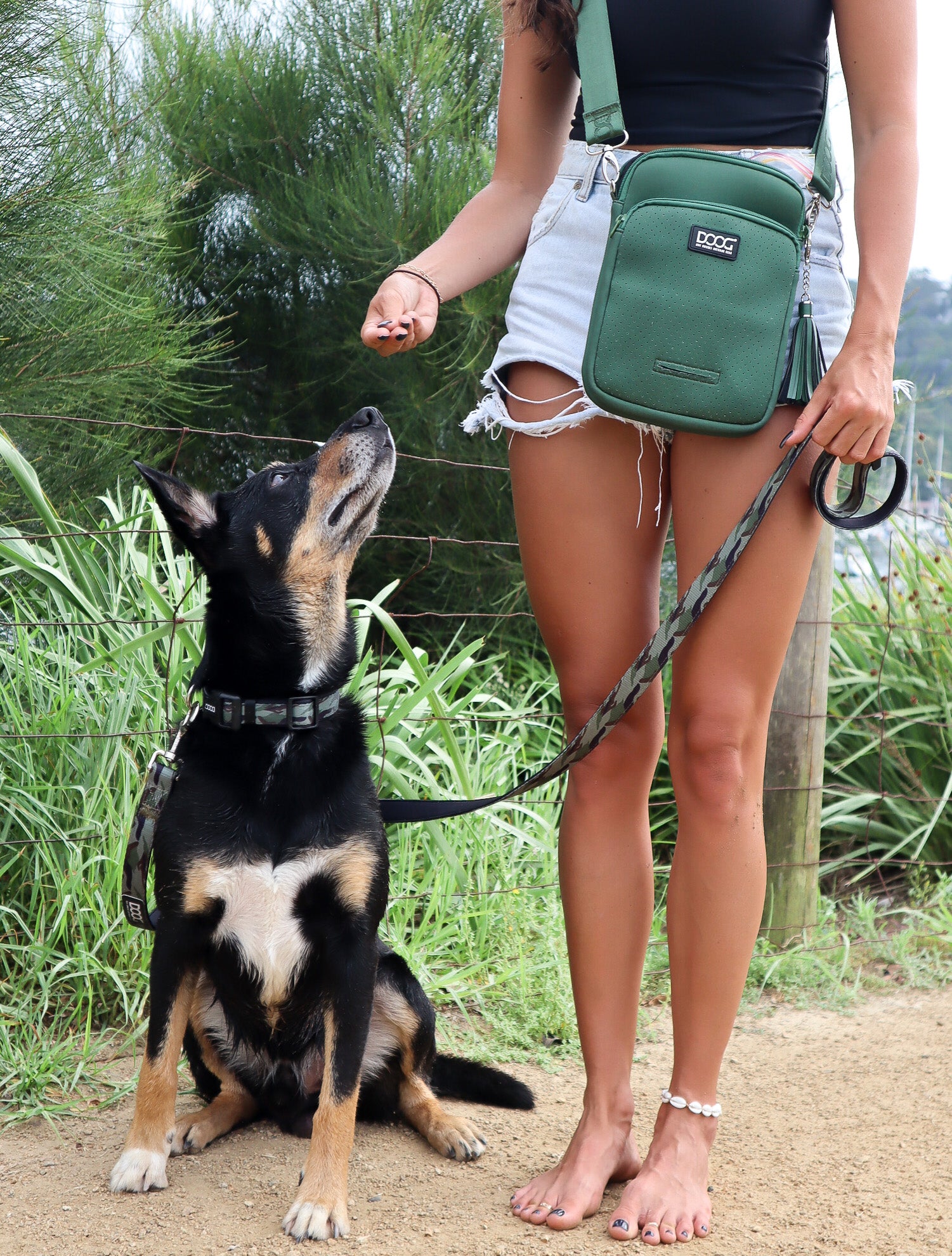 Doog dog walking bag shop