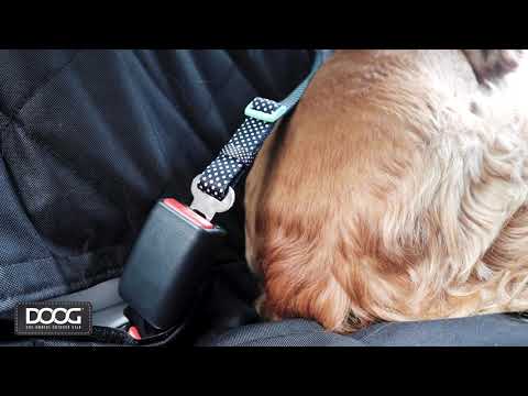 Car Restraint TOTO